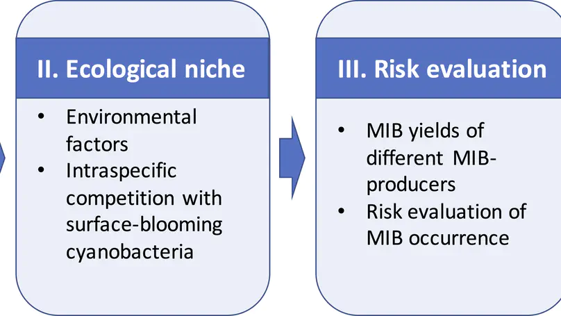 Ecological niche and in-situ control of MIB producers in source water