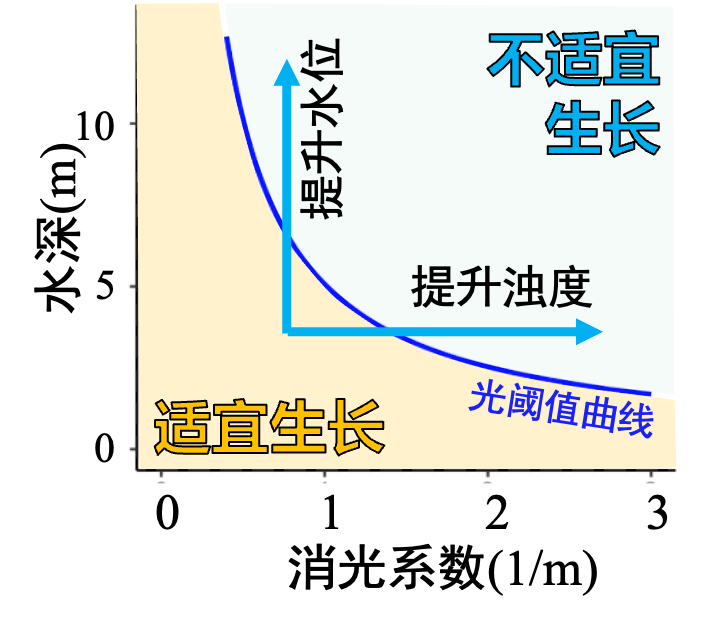 基于产嗅藻生态位特征的调光抑藻控嗅策略